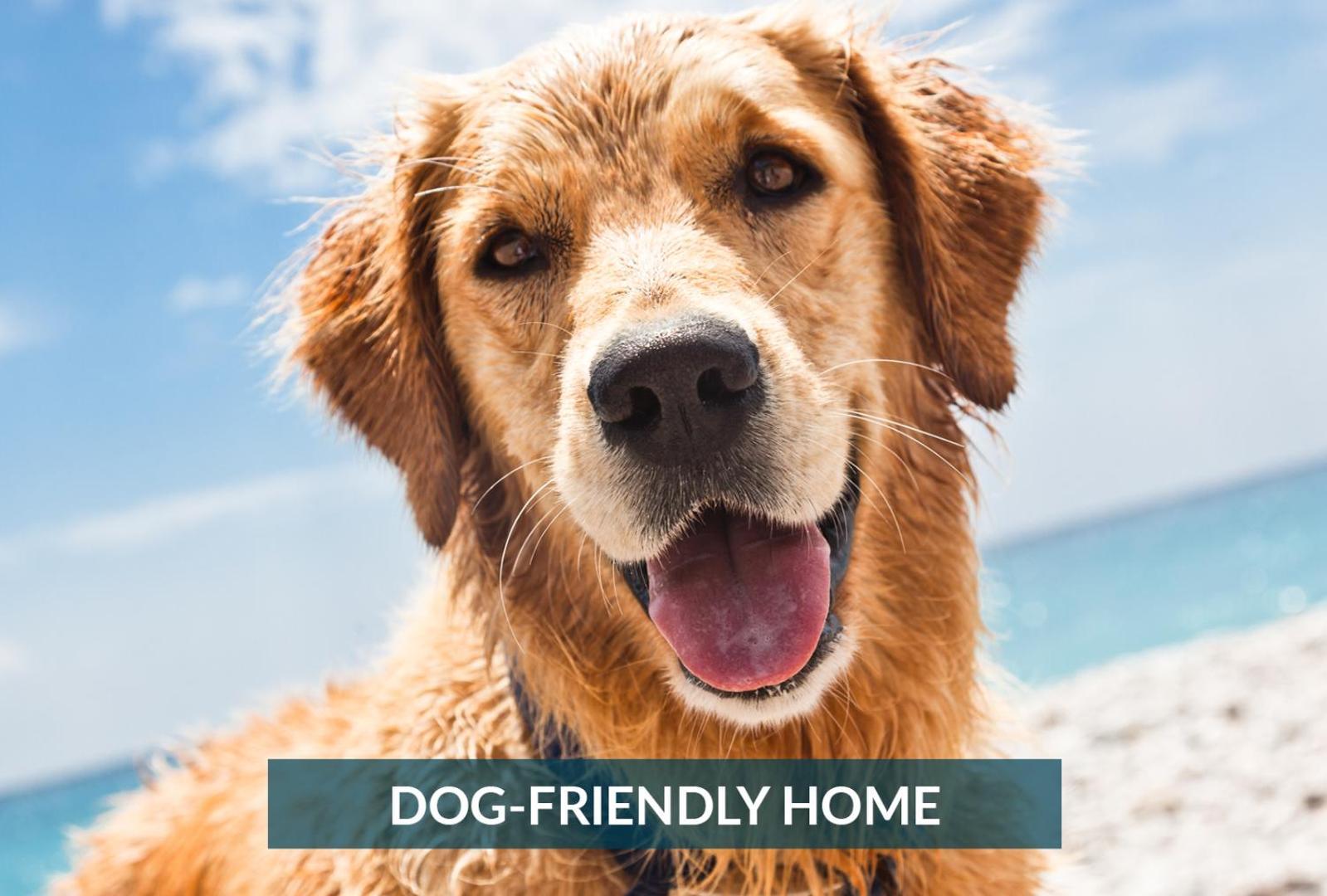 4011 The Dogs House 2 Min Walk To Beach Kitty Hawk Eksteriør bilde